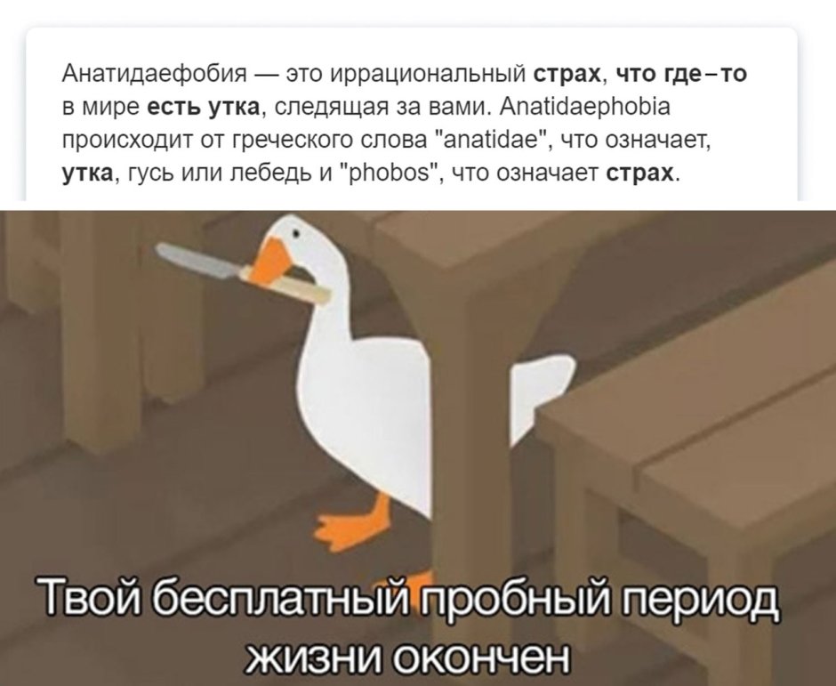 Гусь с ножом Мем