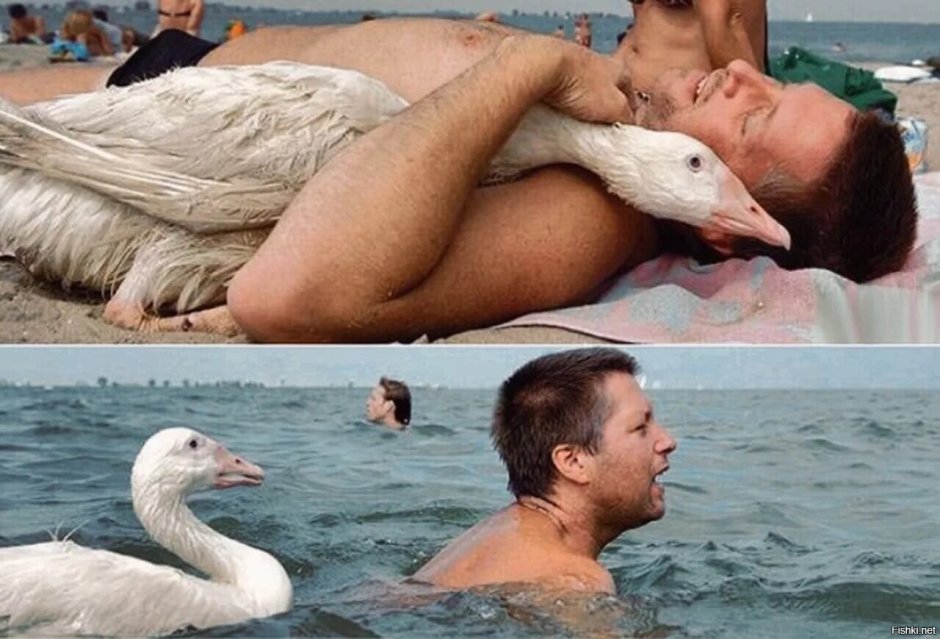 Мужик и Гусь
