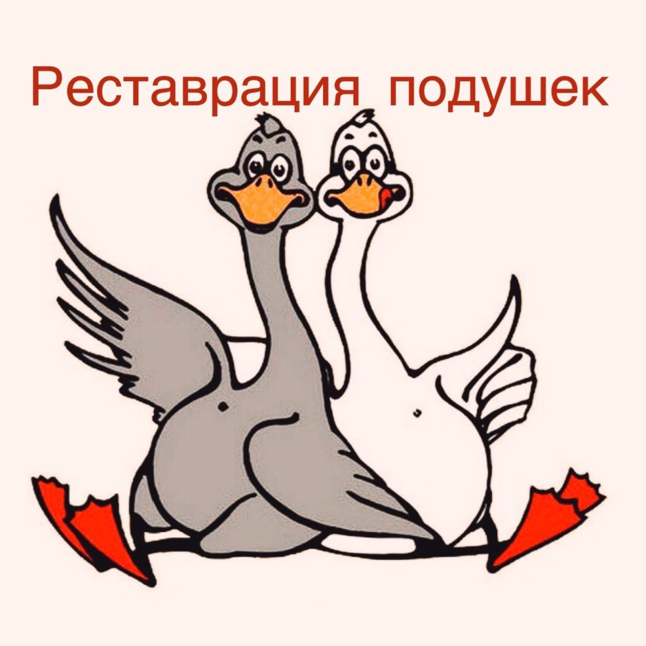 Два гуся вектор