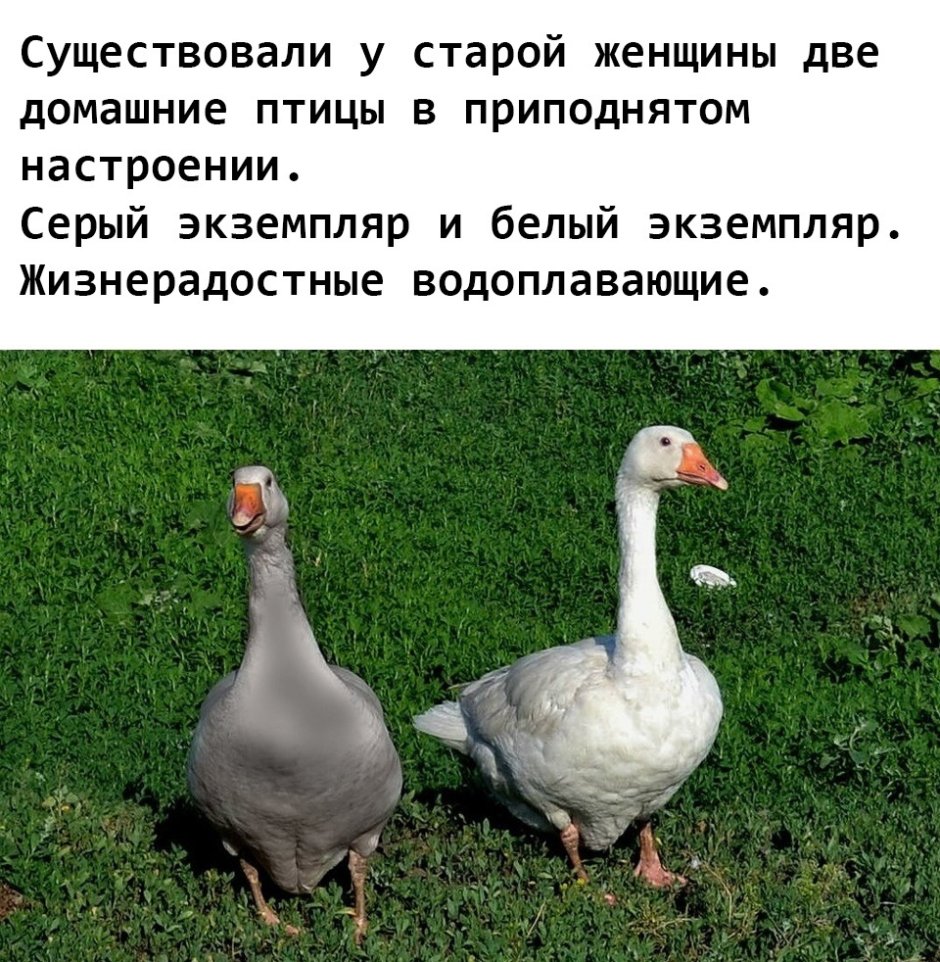 Веселые гуси