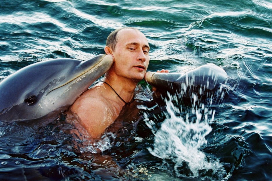 Дельфины над морем