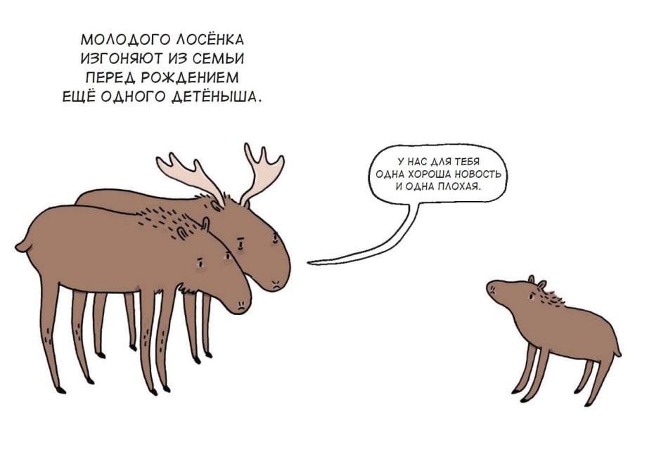 Брук Баркер факты о животных