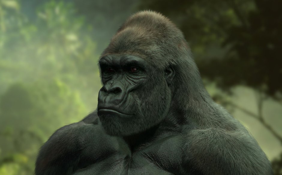 Гриффитс горилла