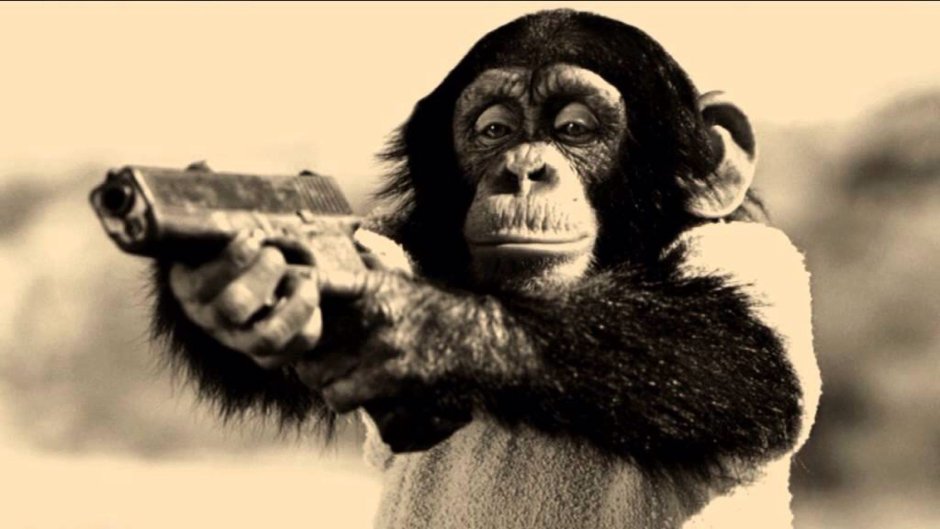 Мартышка с пистолетом