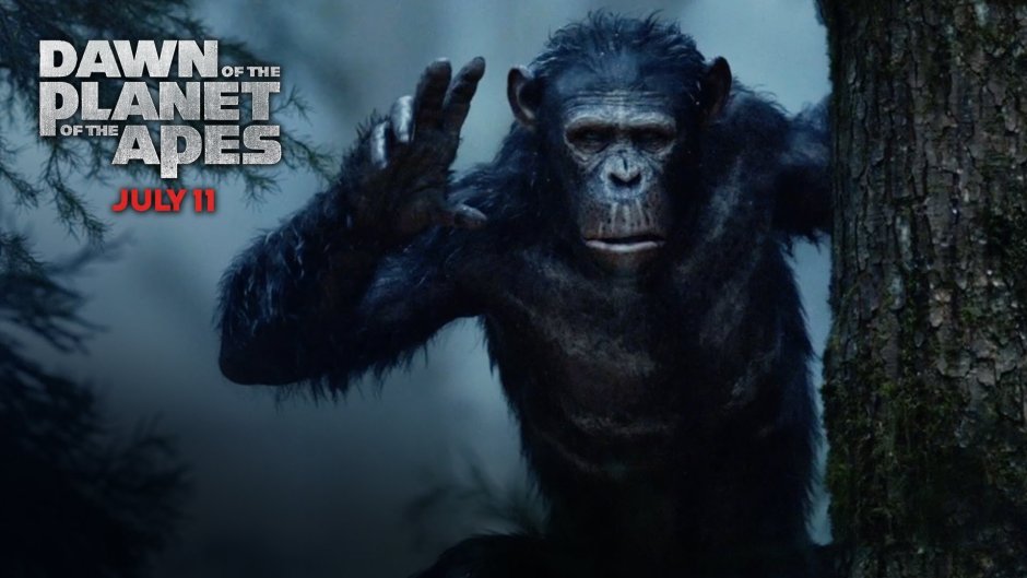 Riseof the Planet of the Apes 2014 poster