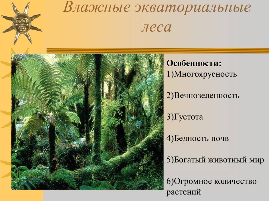 Африканская птица носорог