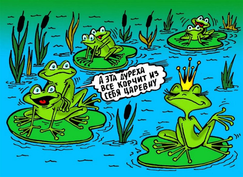 Лягушка юмор