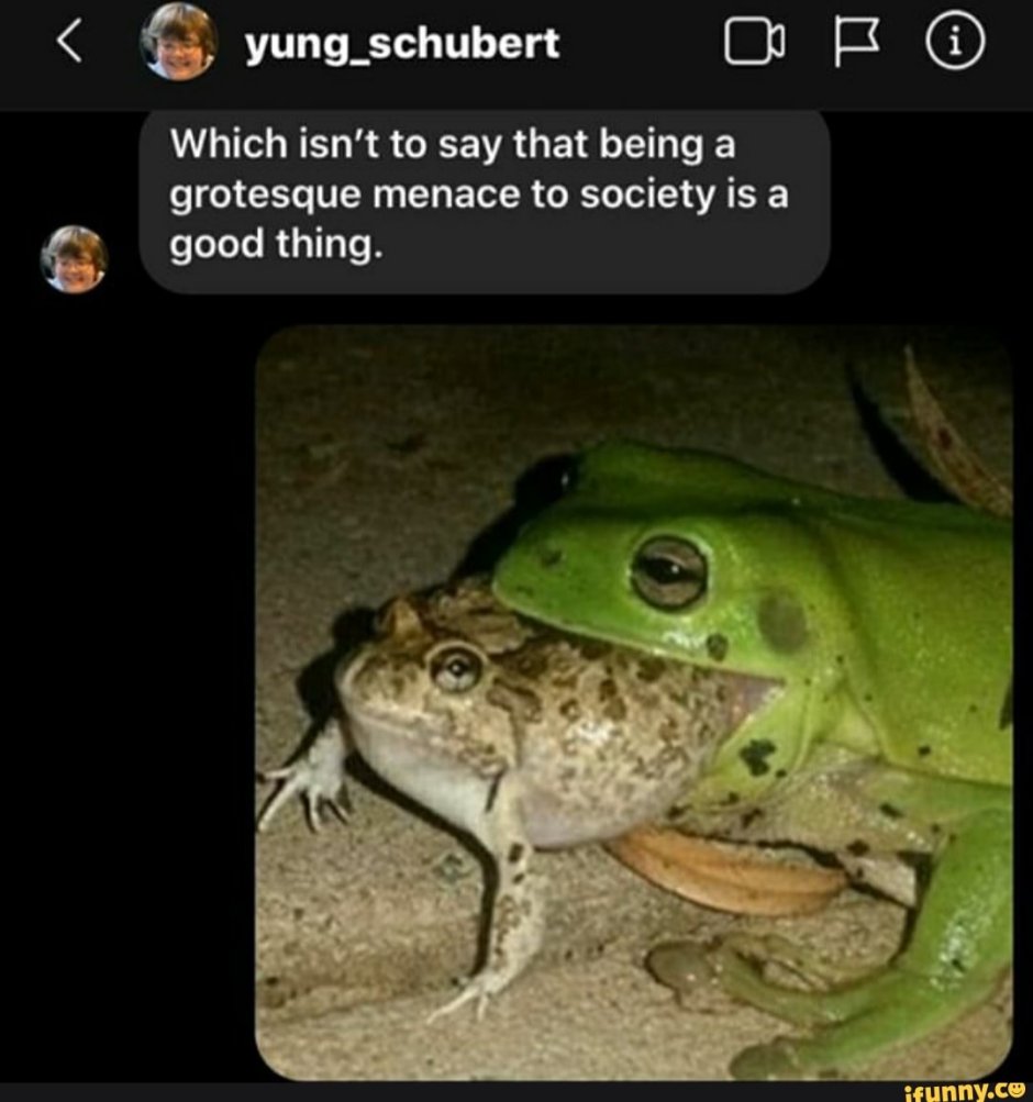Мемы с лягушками и жабами