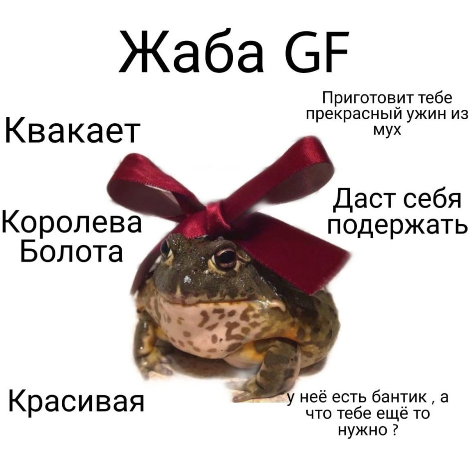 Жаба с подарком