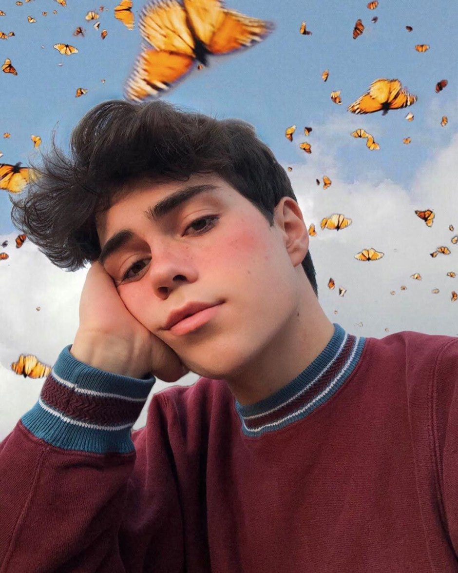 Benji Krol в брикетах
