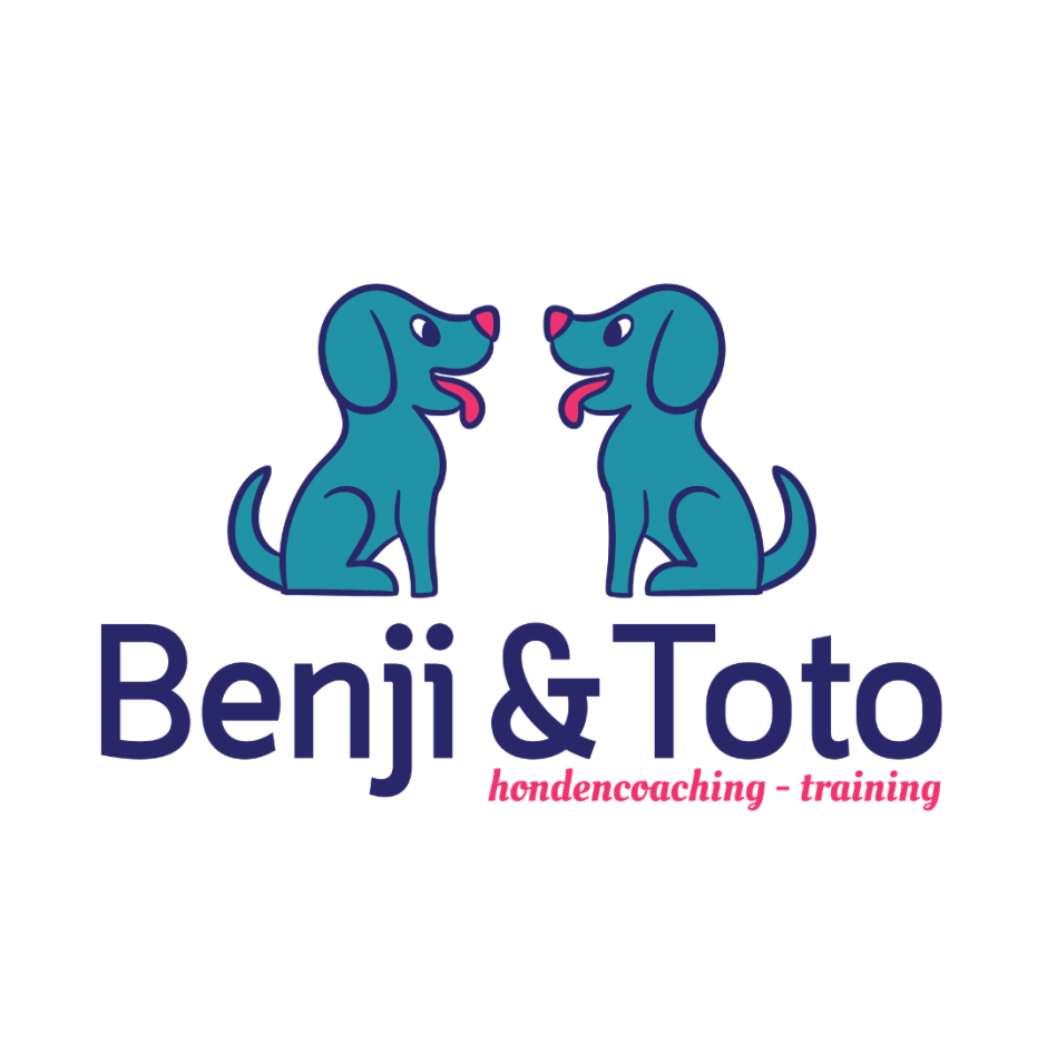 Benji Krol слив