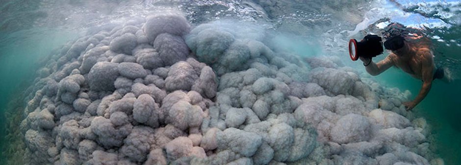 Дайвинг в Мертвом море