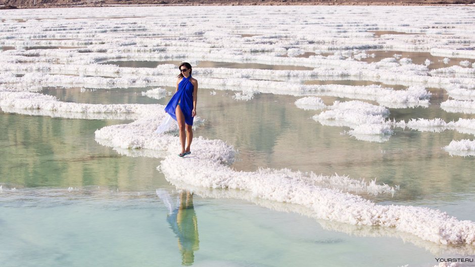 Экологическая катастрофа на Камчатке 2020