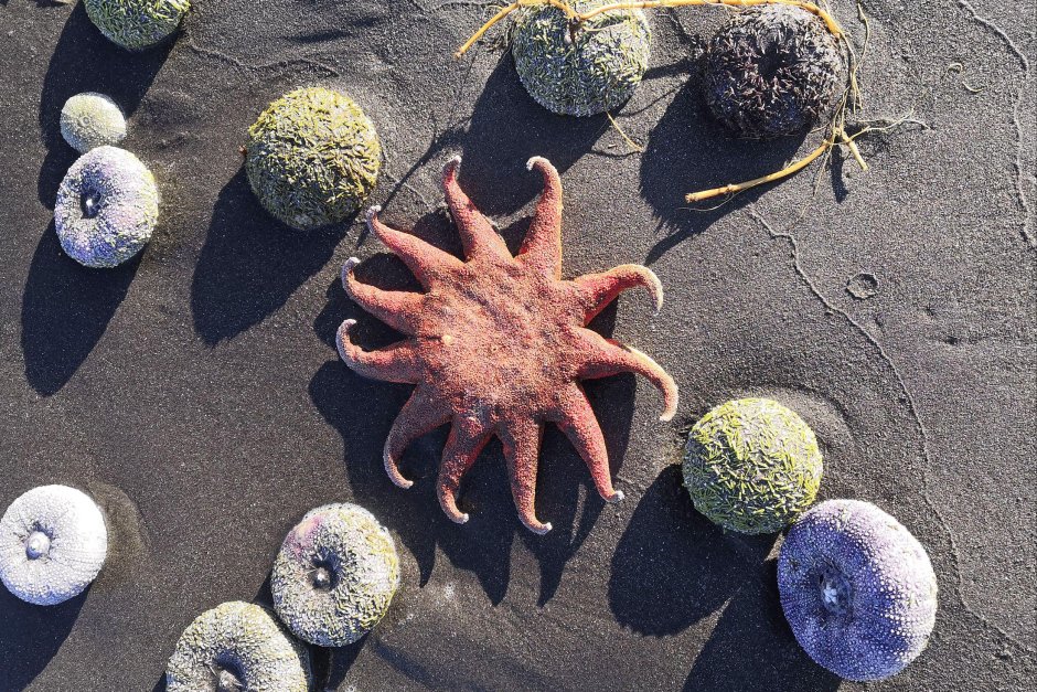 Мертвое море ночью