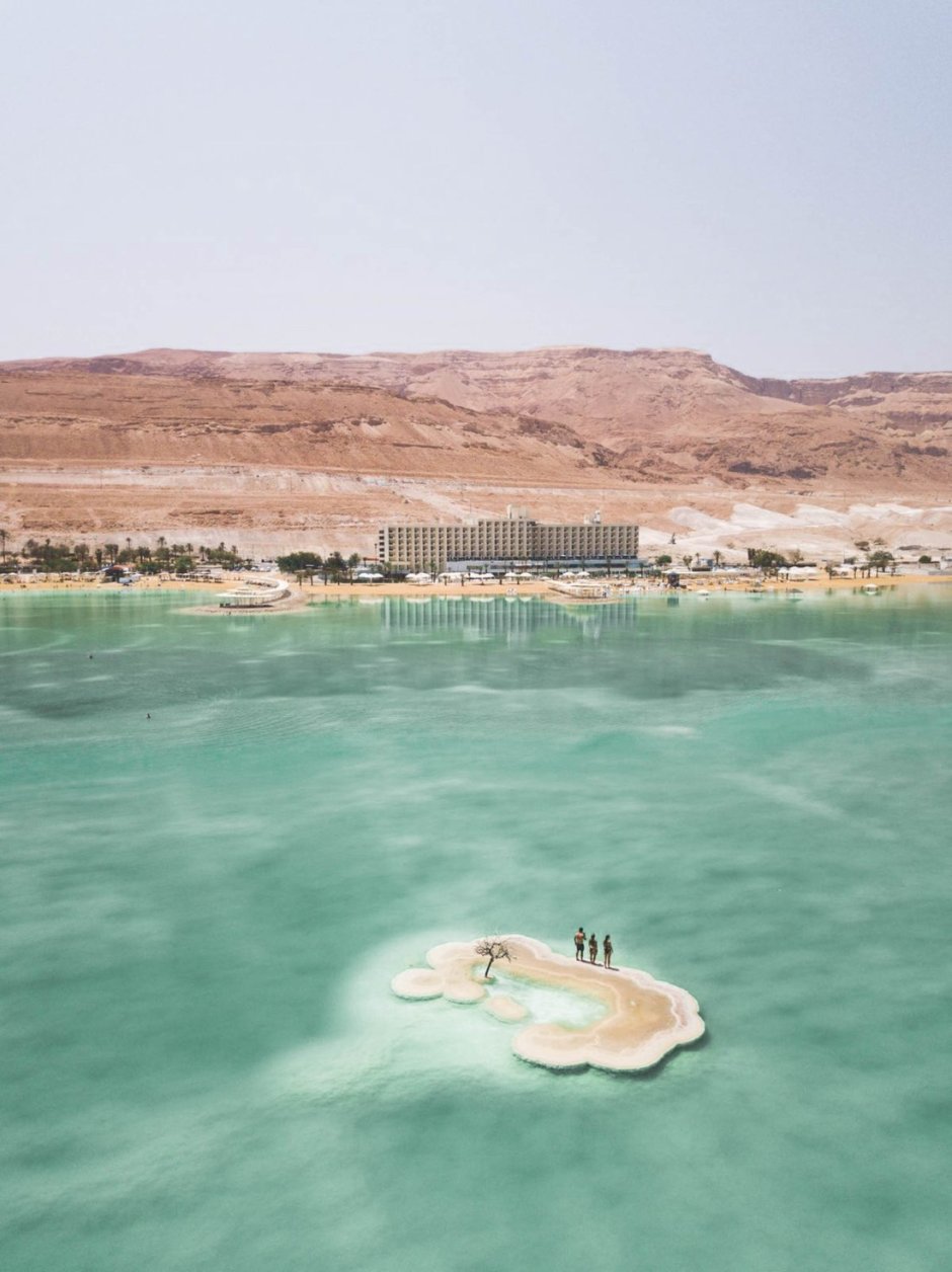 Вымирание морских животных