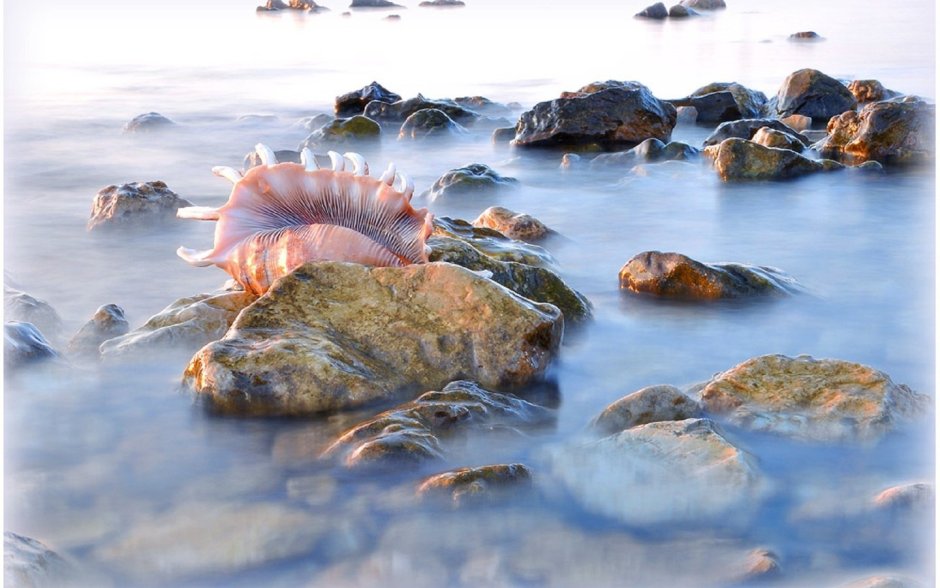 Фотосессия на Мертвом море