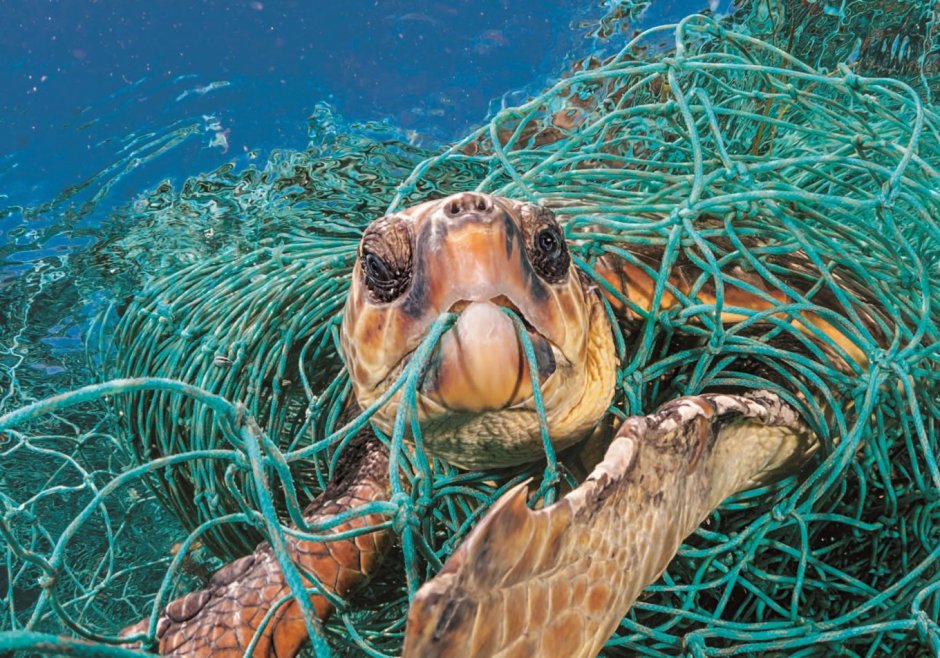 National Geographic Планета или пластик