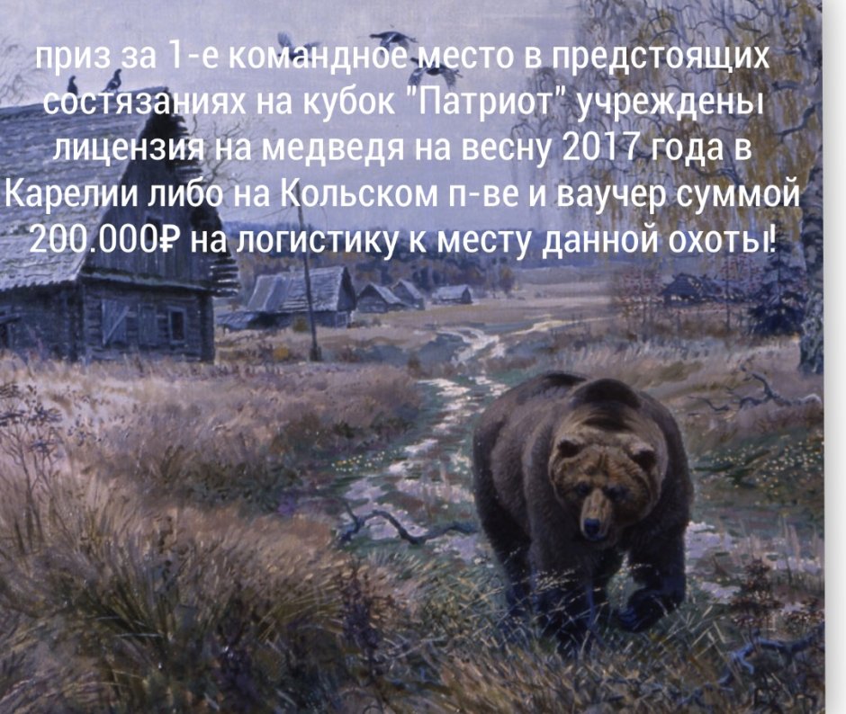 Волки в Чернобыльской зоне