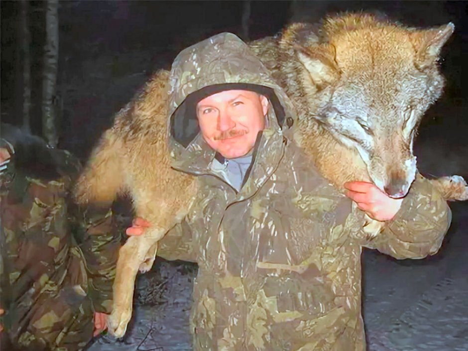 Уходящий волк