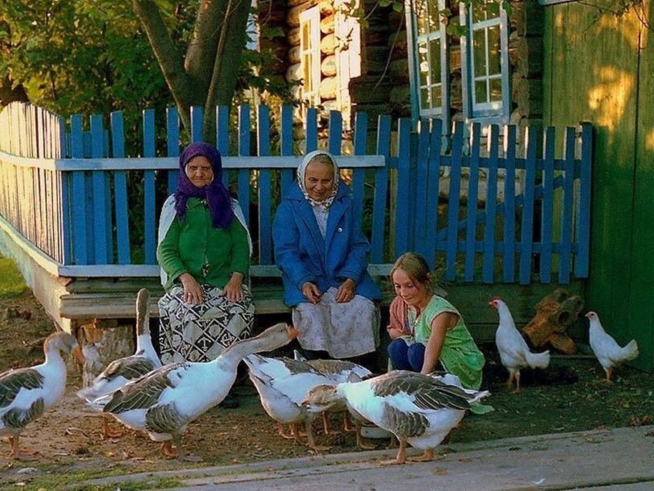 Собака это одомашненный волк