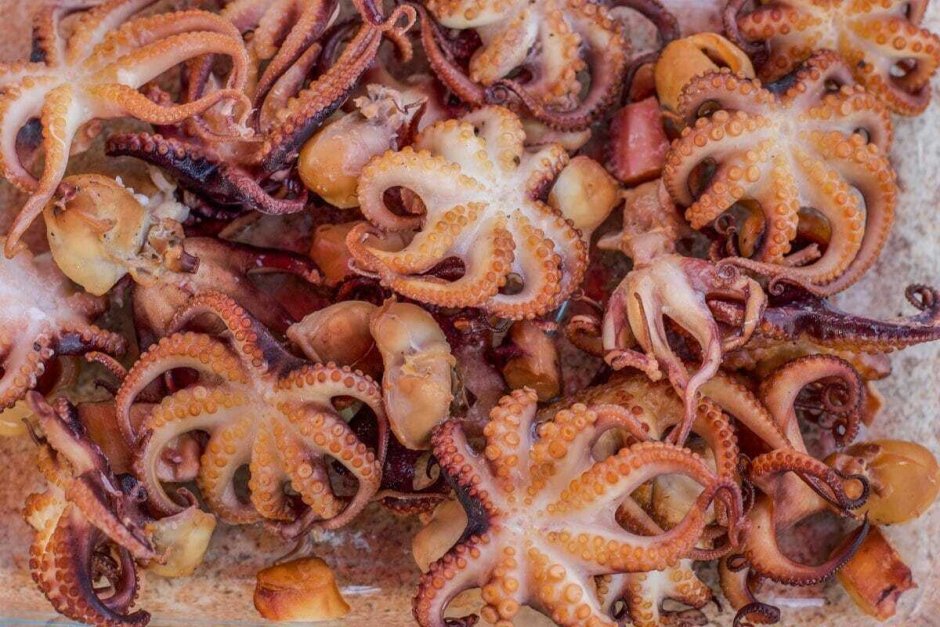 Осьминог с днем рождения