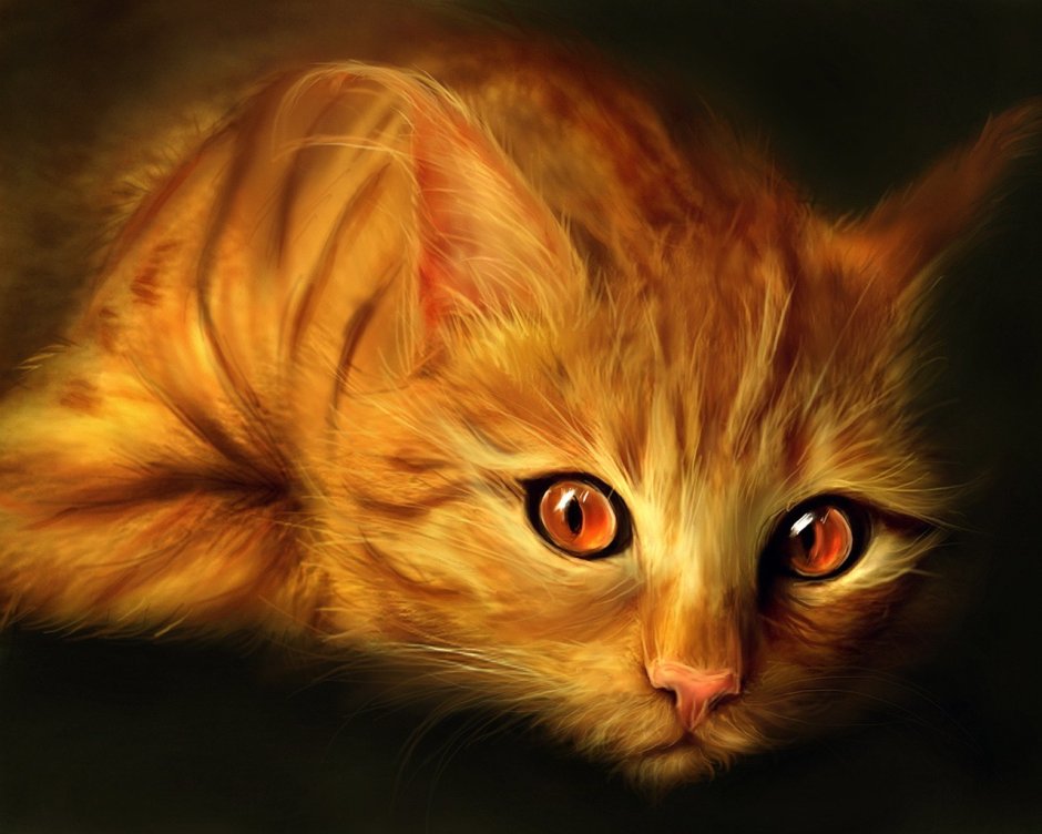 Рыжий котёнок