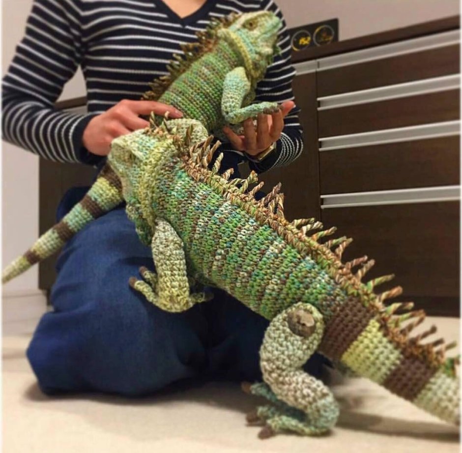 Большая толстая ящерица