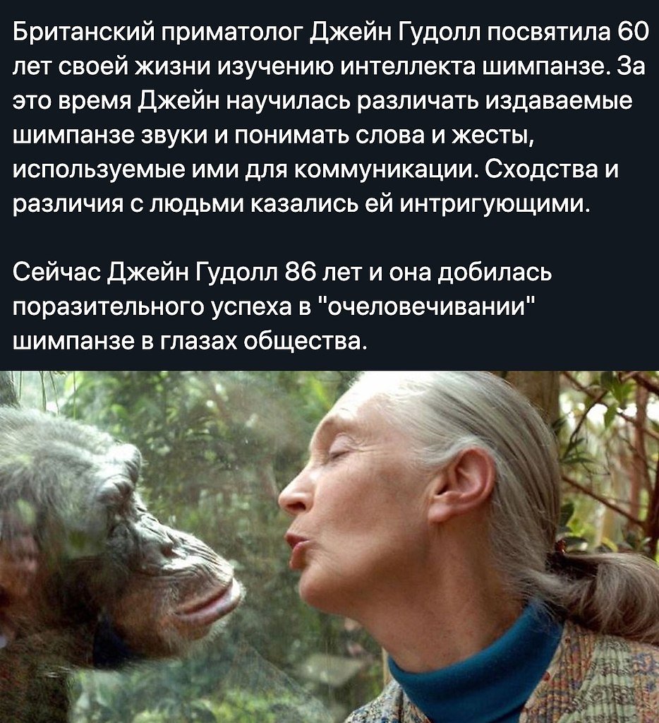 Как стать приматологом