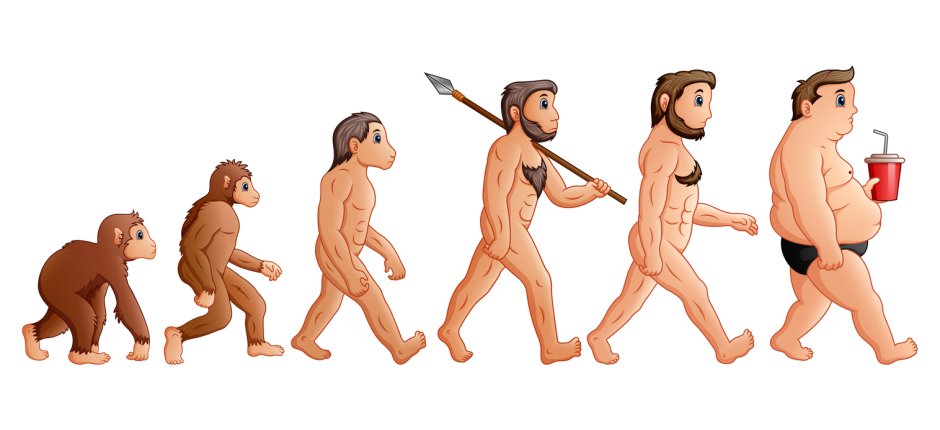 Эволюция человека до хомо сапиенс