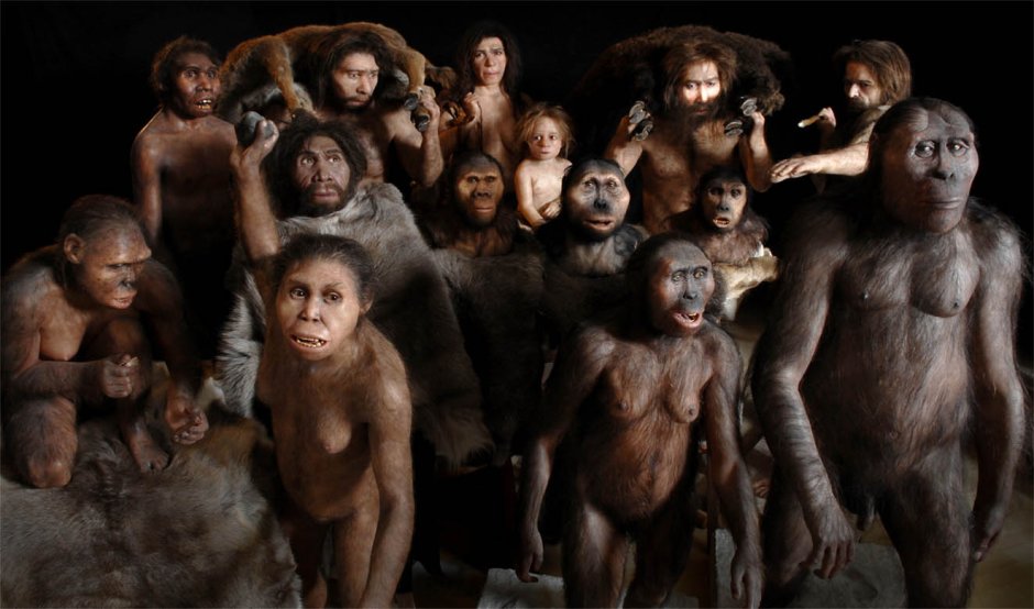 Происхождение человека