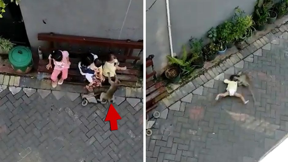 Семья хомо сапиенс