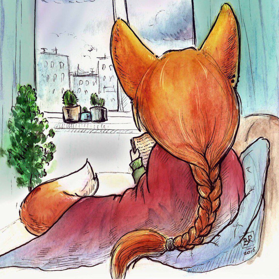 Culpeo Fox череп