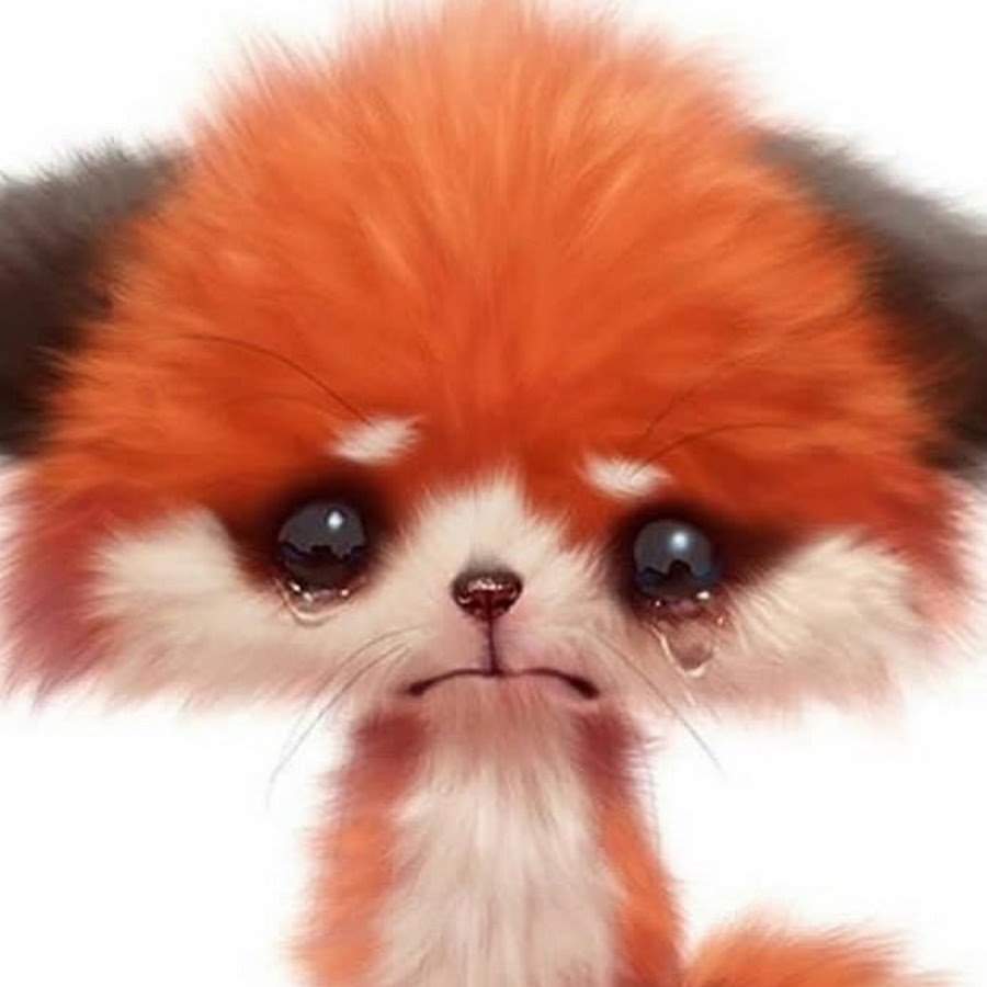 Одинокий Лис