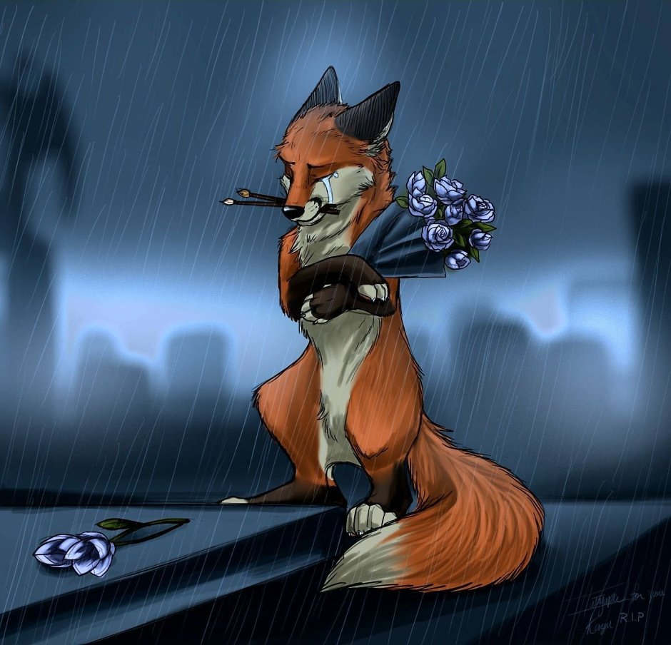 Одинокая лиса