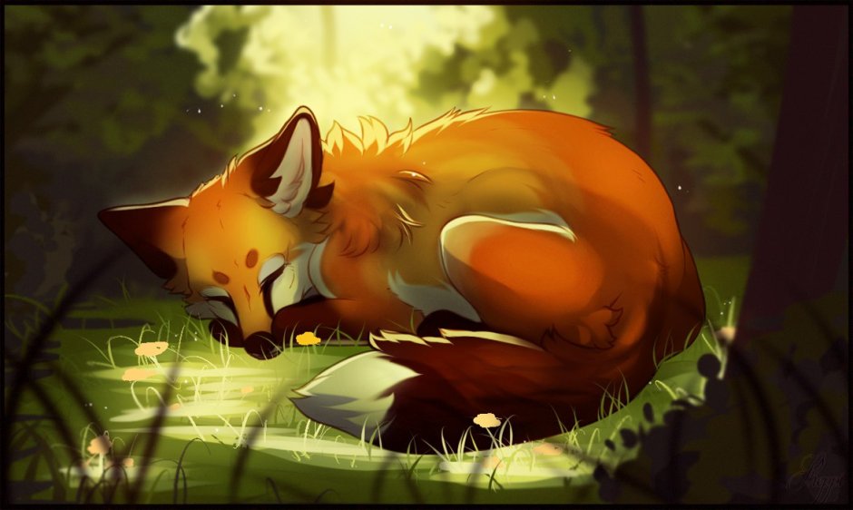 Лиса кульпео Фокс