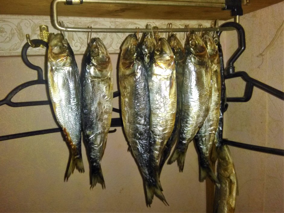 Каспийская селедка балыком