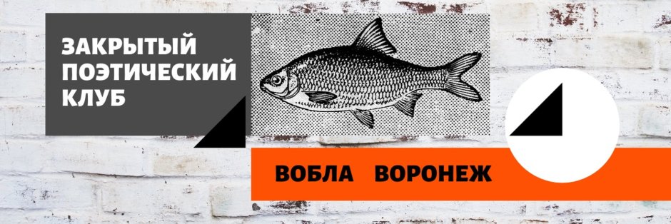 Плотва вяленая потрошеная