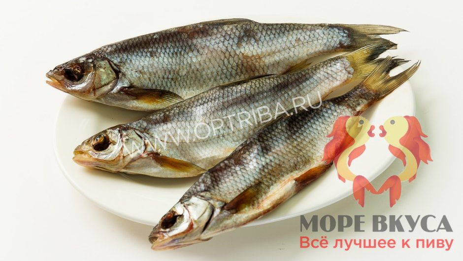 Рыбки на белом фоне