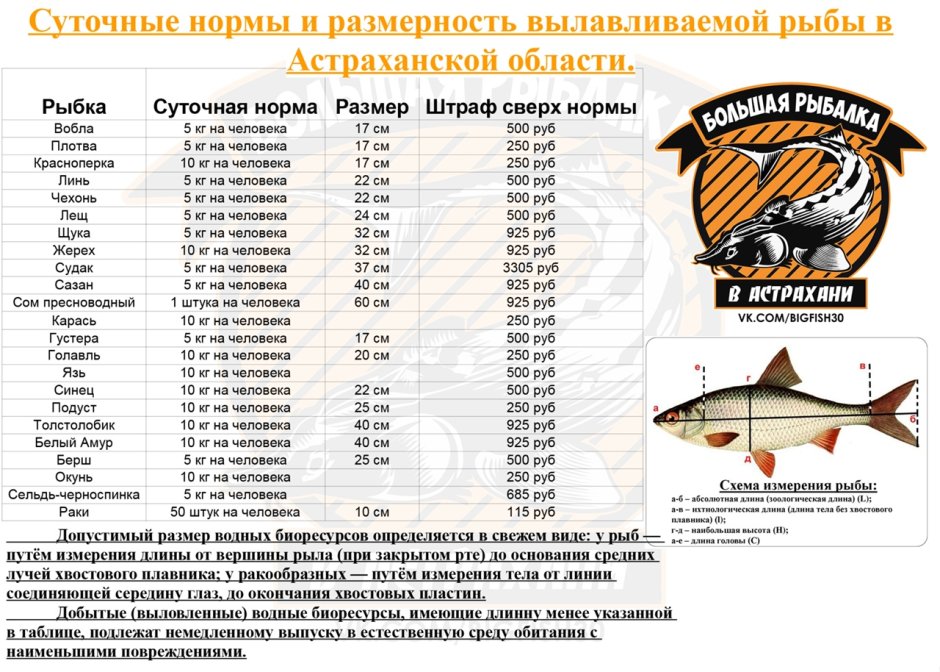 Язь жерех голавль