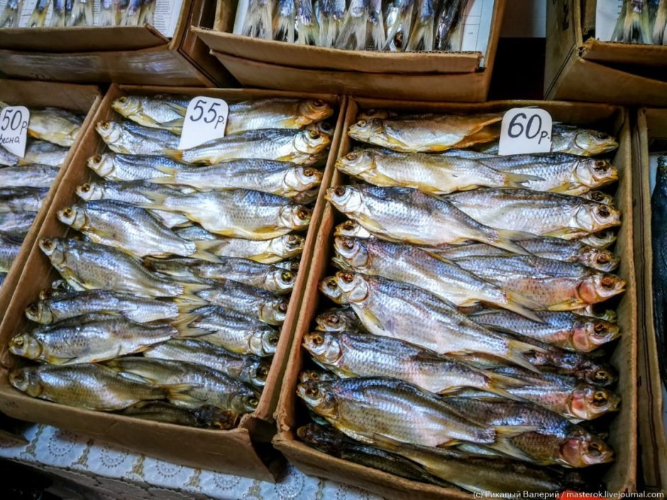 Сельдь Берингово море