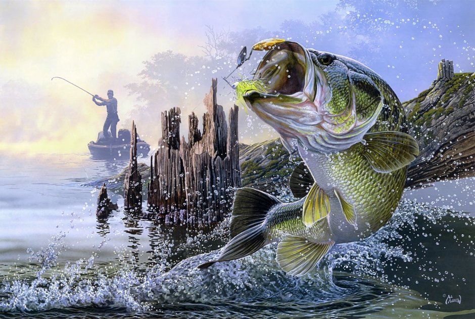 Bass Большеротый окунь