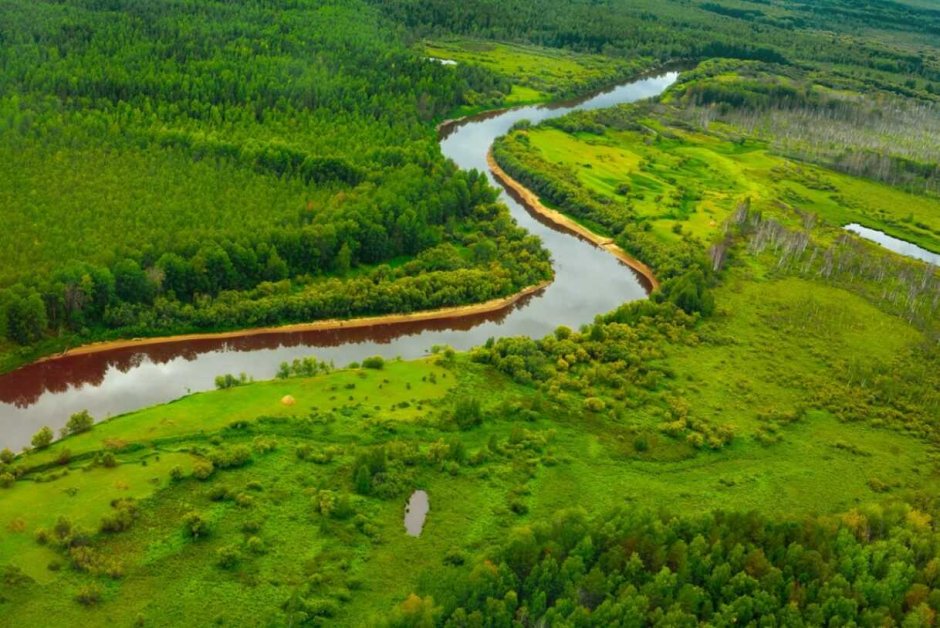 Западно Сибирская равнина