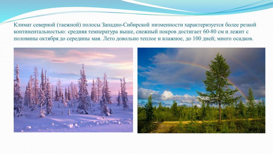 Печоро-Илычский заповедник животные