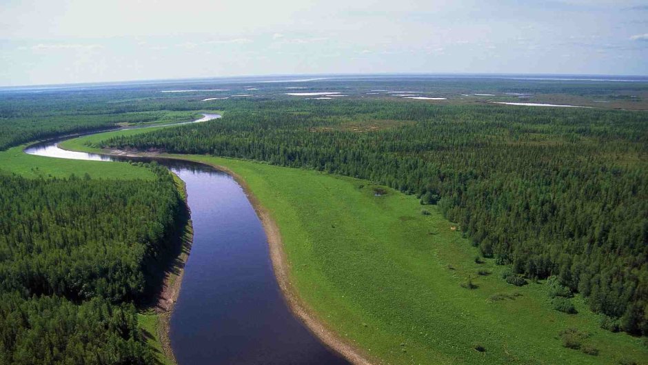 Центральная часть Западно сибирской равнины