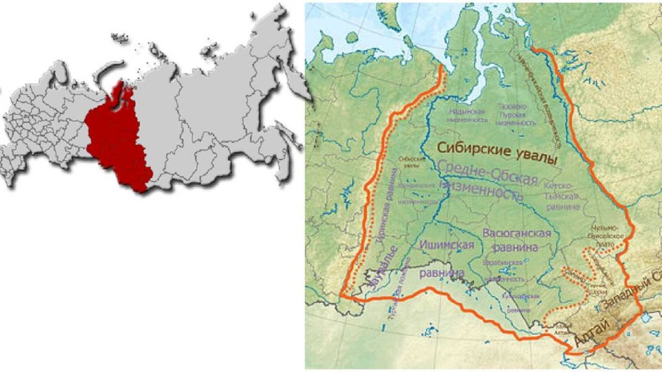 Лось в Челябинской области