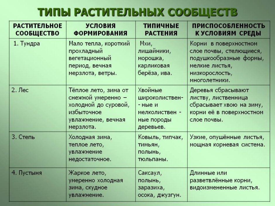 Болота Новосибирской области