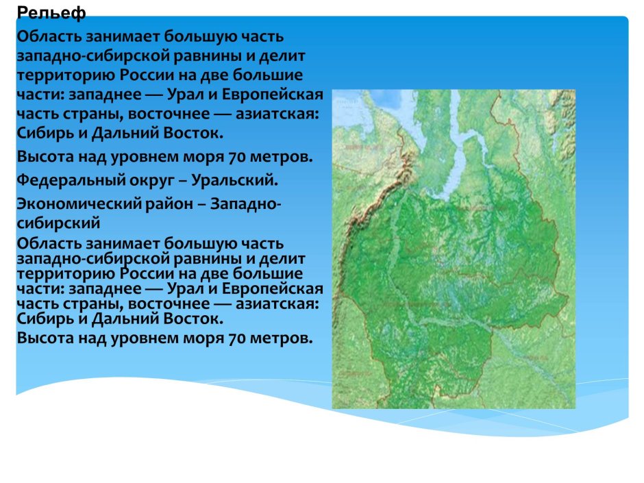 Алтайский заповедник косуля Сибирская