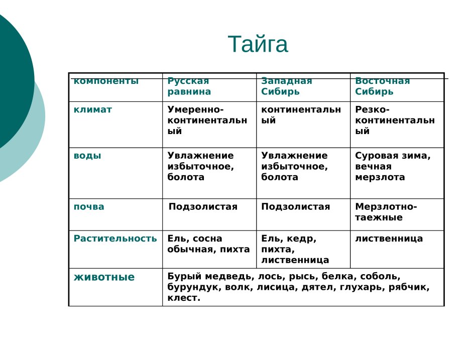 Природная зона Тайга таблица