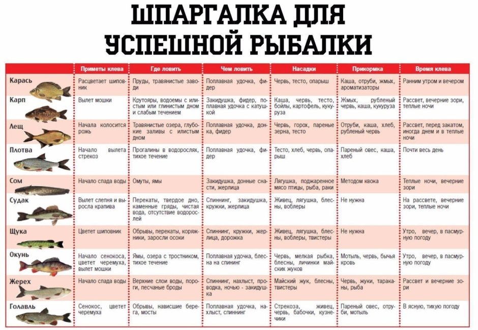 Малек пескаря