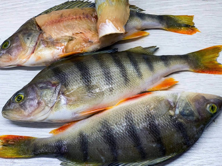 Морской окунь горячего копчения